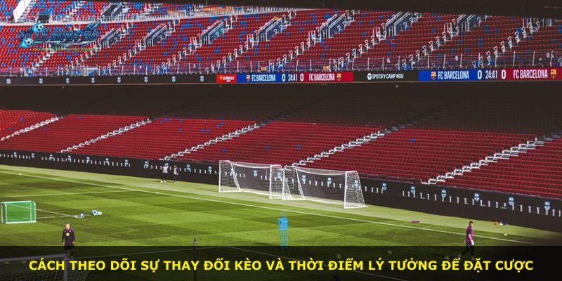 Cách theo dõi sự thay đổi kèo và thời điểm lý tưởng để đặt cược