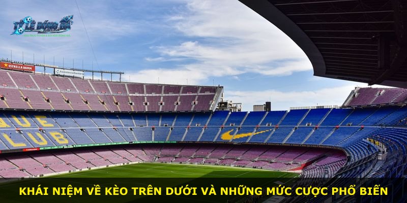 Khái niệm về kèo trên dưới và những mức cược phổ biến