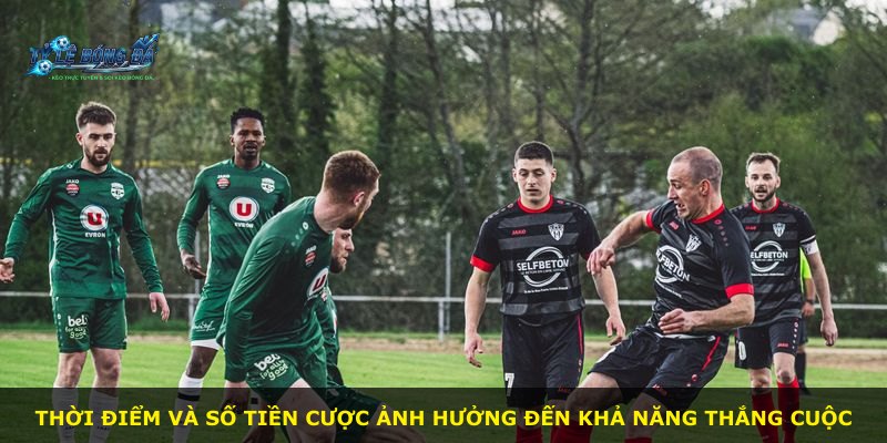Thời điểm và số tiền cược ảnh hưởng đến khả năng thắng cuộc